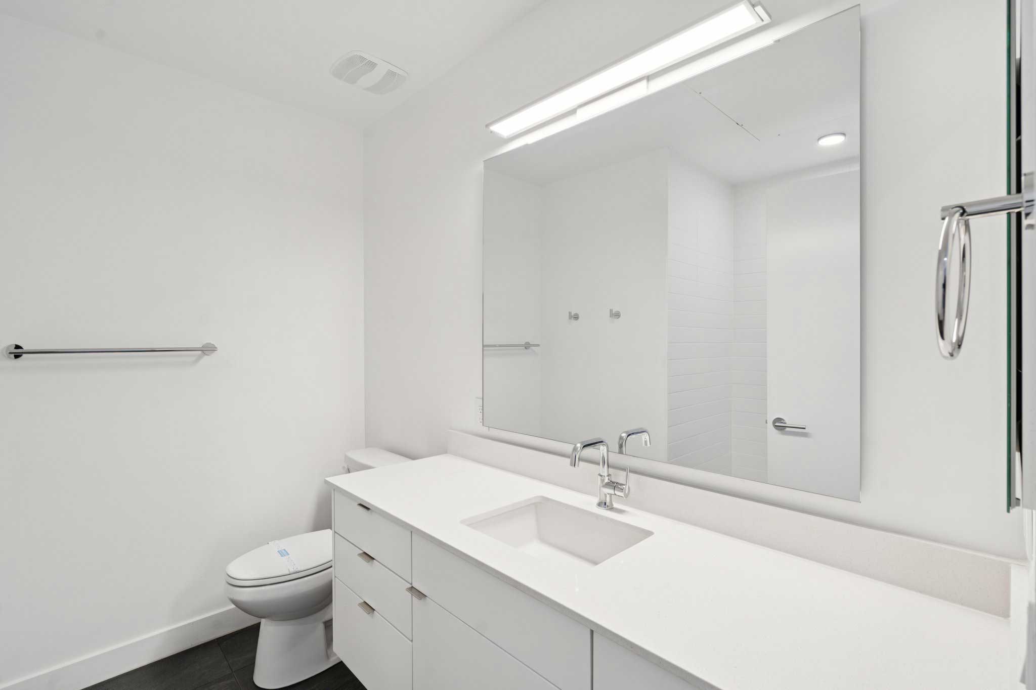 Bathroom Counter and Toilet